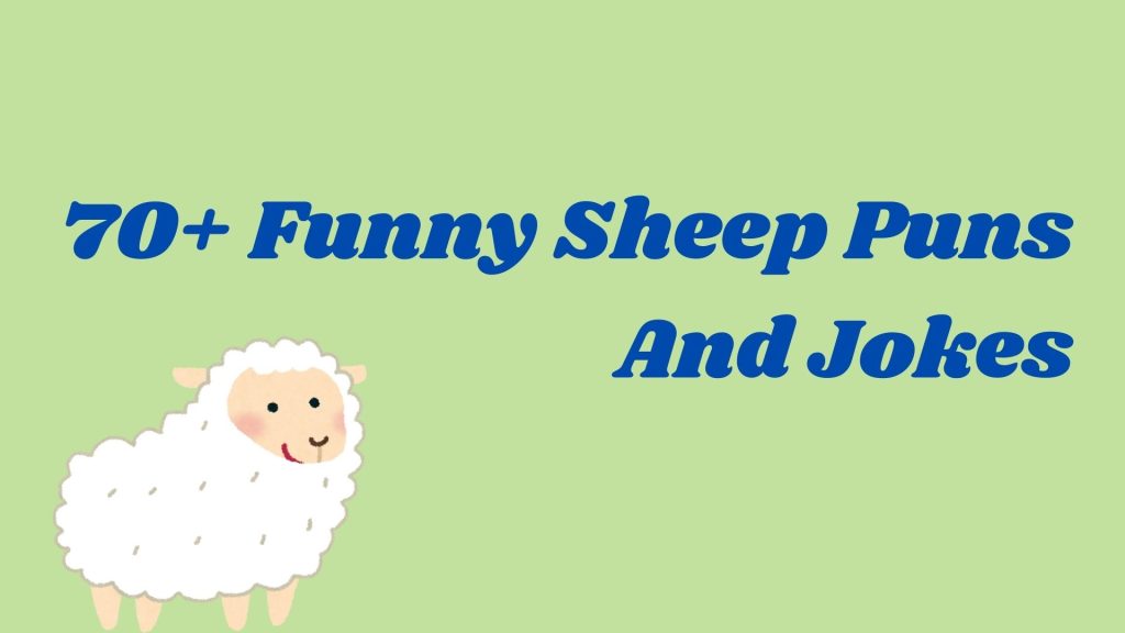 70+ Funny Sheep Puns And Jokes