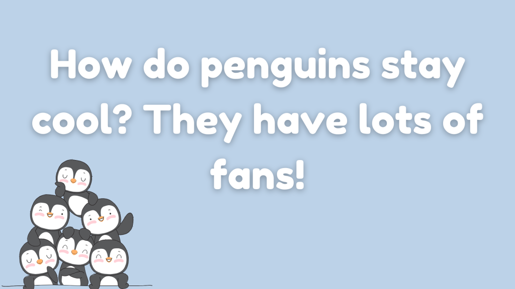 How do penguins stay cool? They have lots of fans!