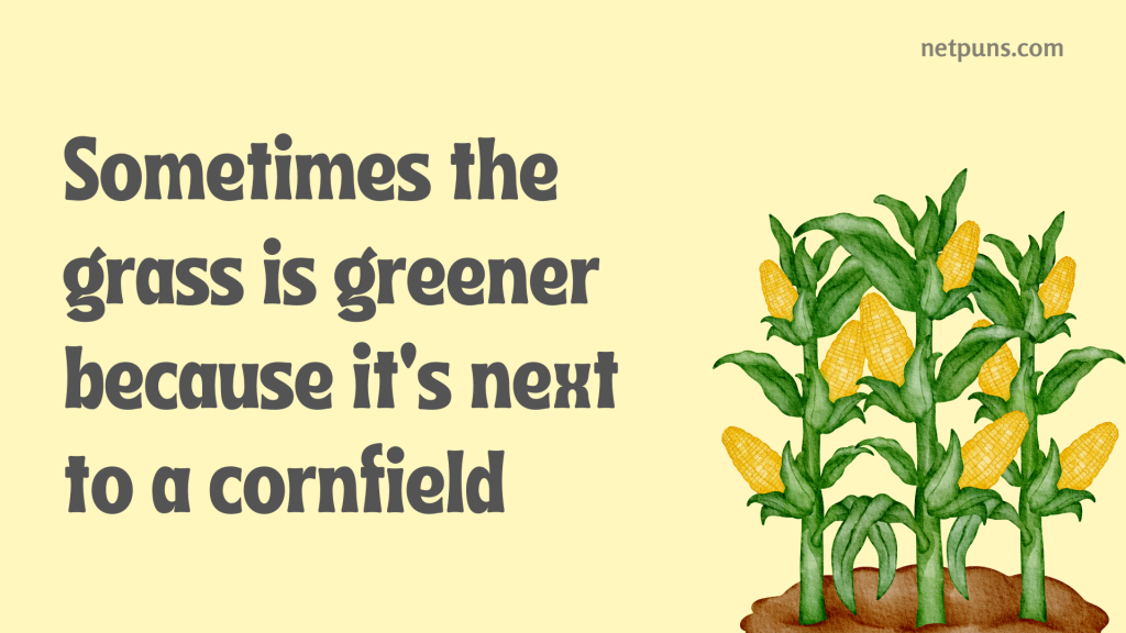 Sometimes the grass is greener because it’s next to a cornfield.