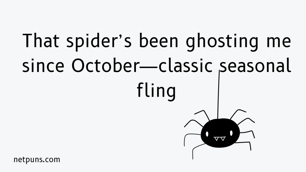 That spider’s been ghosting me since October—classic seasonal fling.