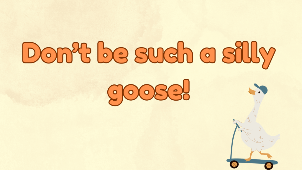 Don’t be such a silly goose!