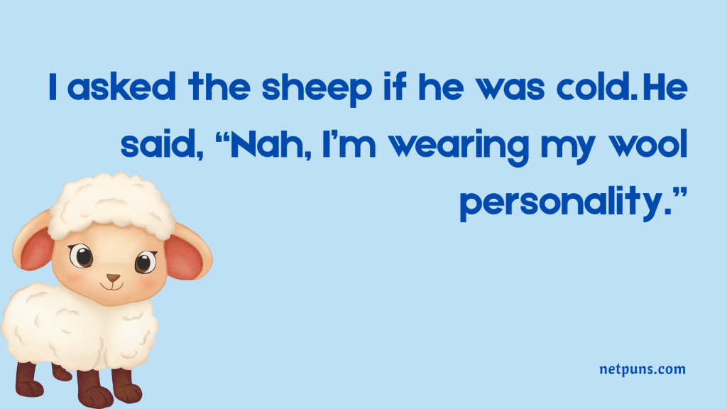 I asked the sheep if he was cold. He said, “Nah, I’m wearing my wool personality.”