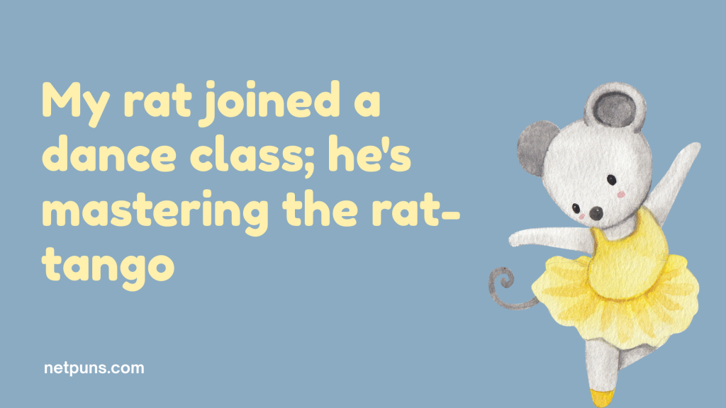My rat joined a dance class; he's mastering the rat-tango.