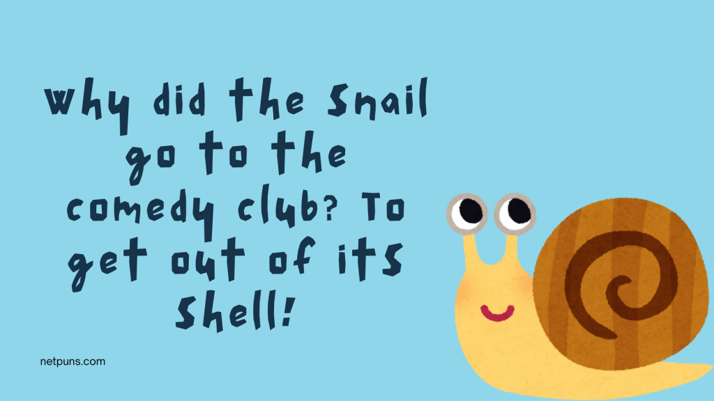 Why did the snail go to the comedy club? To get out of its shell!