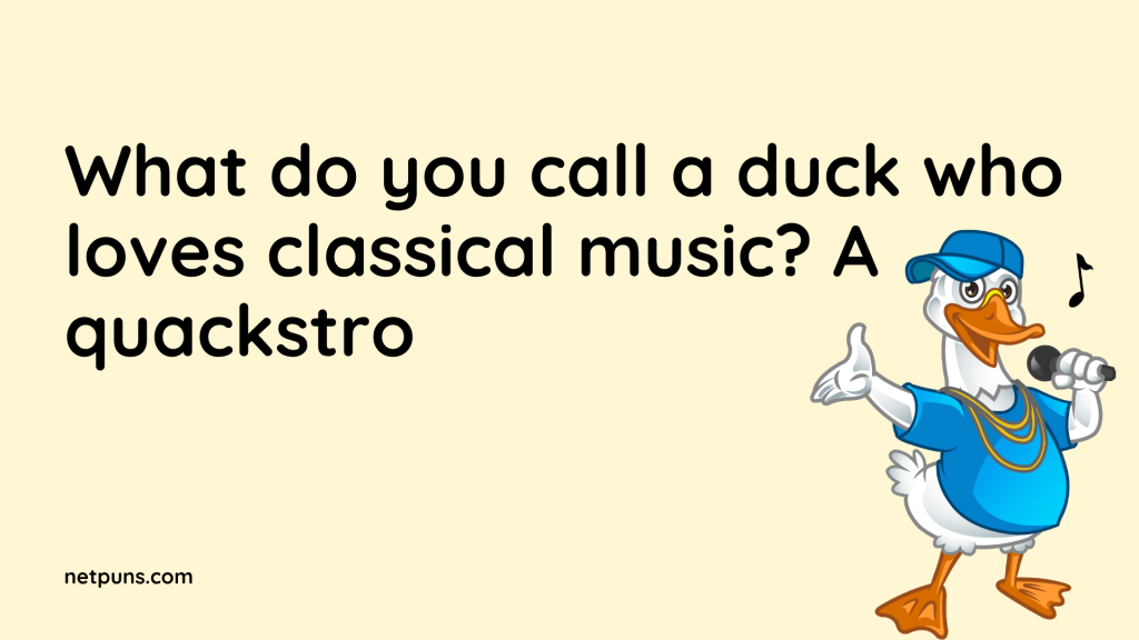What do you call a duck who loves classical music? A quackstro.