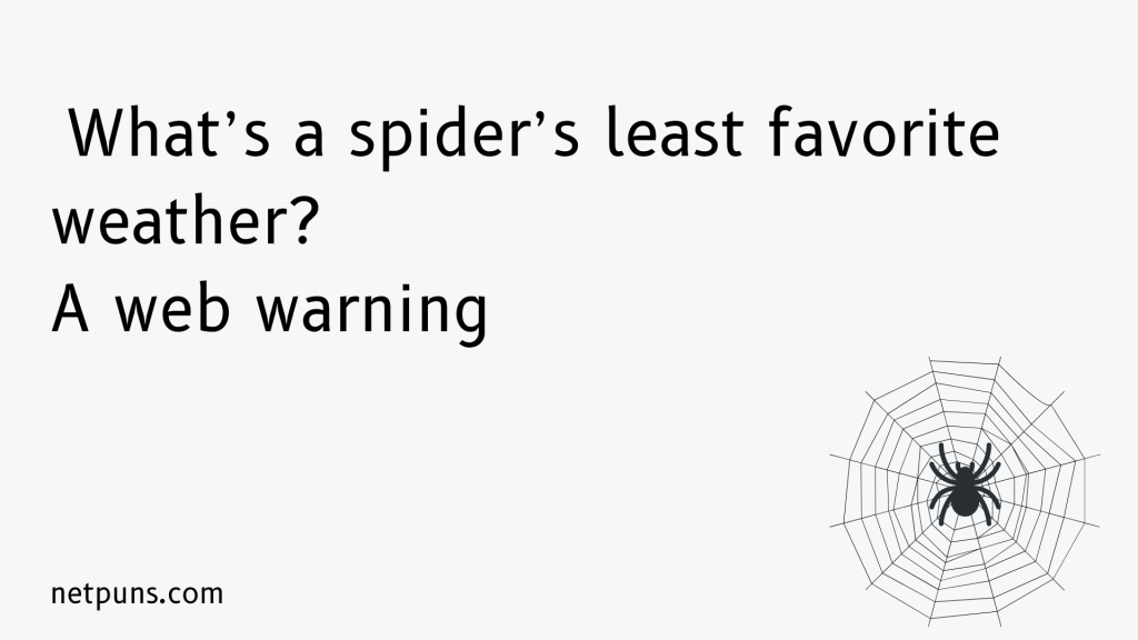 What’s a spider’s least favorite weather?
A web warning.