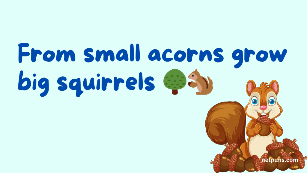 From small acorns grow big squirrels 🌳🐿️