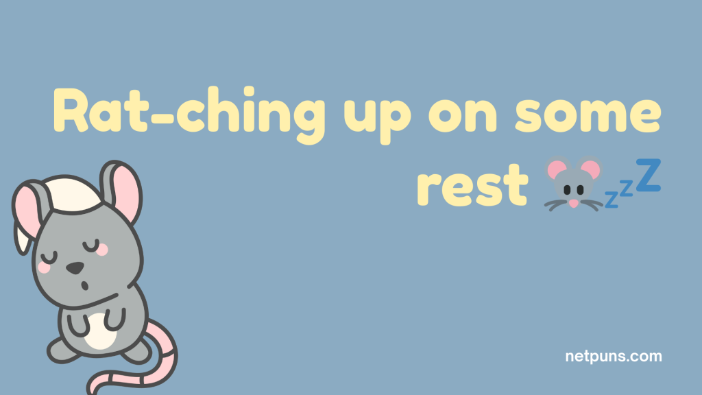 Rat-ching up on some rest 🐭💤