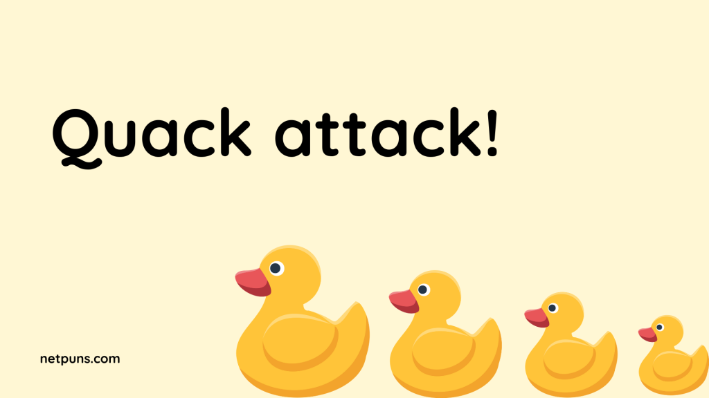 Quack attack!