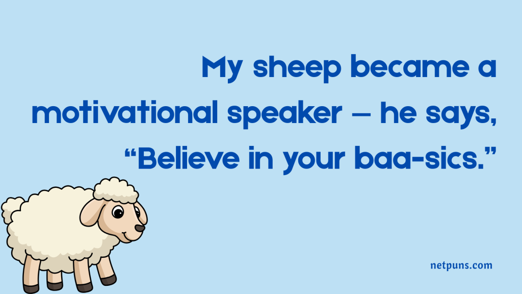 My sheep became a motivational speaker — he says, “Believe in your baa-sics.”