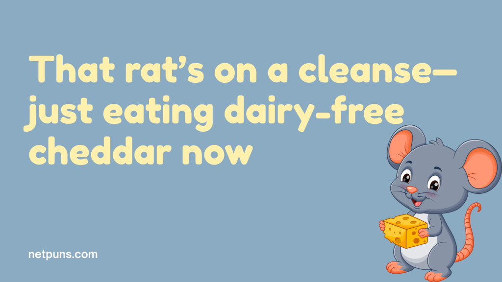 That rat’s on a cleanse—just eating dairy-free cheddar now.