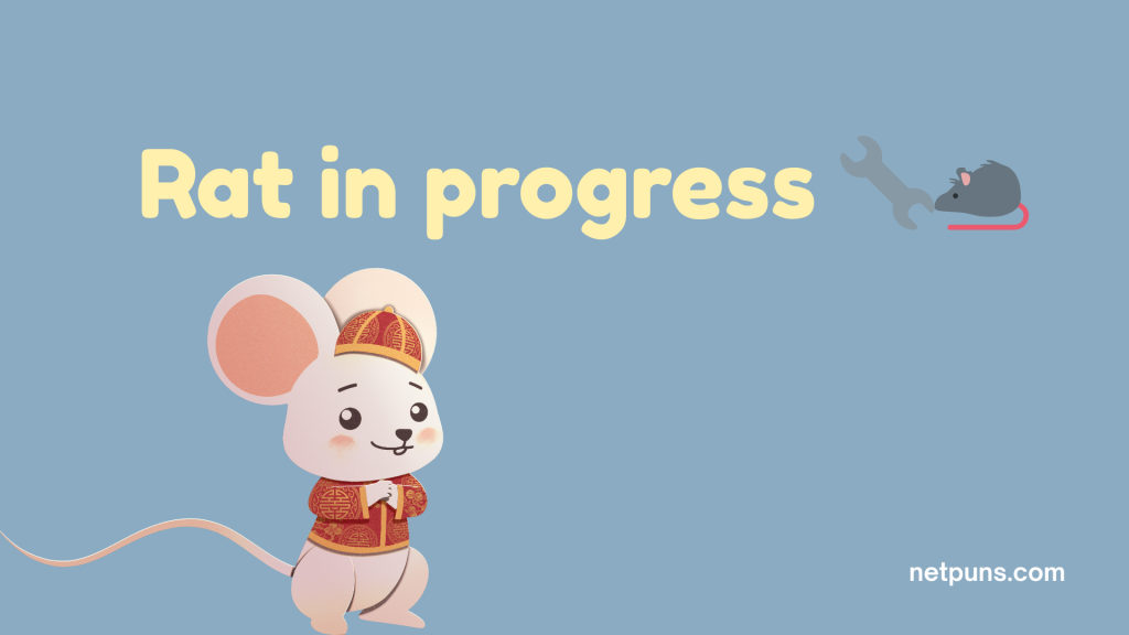 Rat in progress 🔧🐀