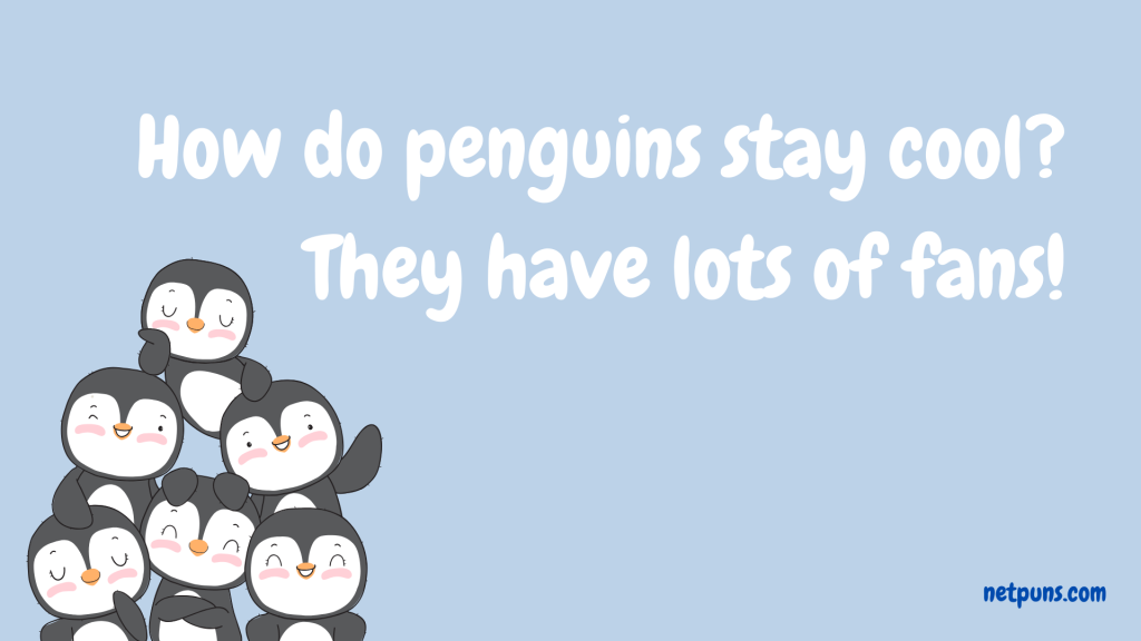 How do penguins stay cool?
They have lots of fans!