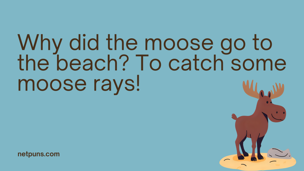 Why did the moose go to the beach? To catch some moose rays!