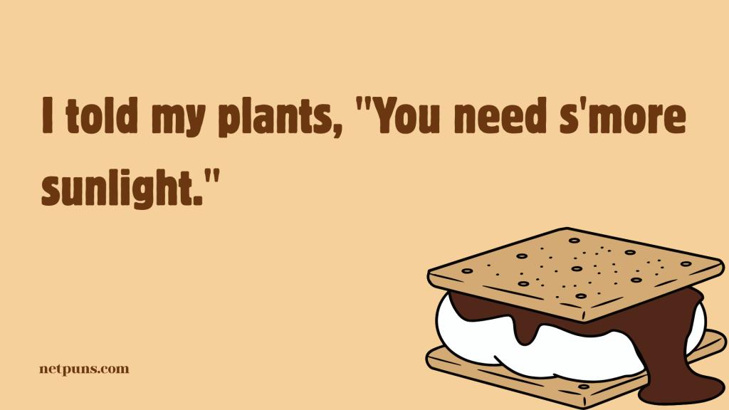 I told my plants, "You need s'more sunlight."