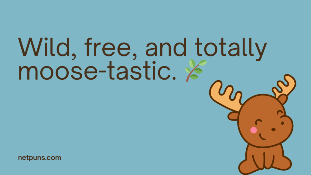 Wild, free, and totally moose-tastic. 🌿