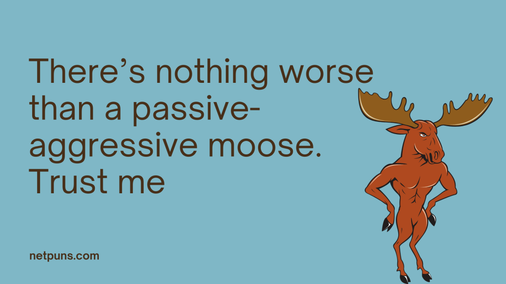 There’s nothing worse than a passive-aggressive moose. Trust me.
