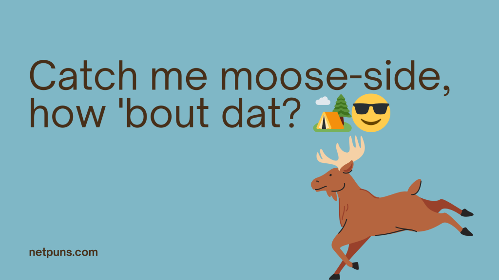 Catch me moose-side, how 'bout dat? 🏕️😎