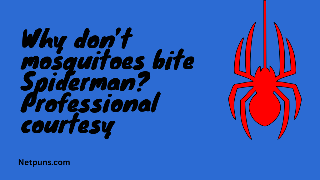 Why don’t mosquitoes bite Spiderman? Professional courtesy.