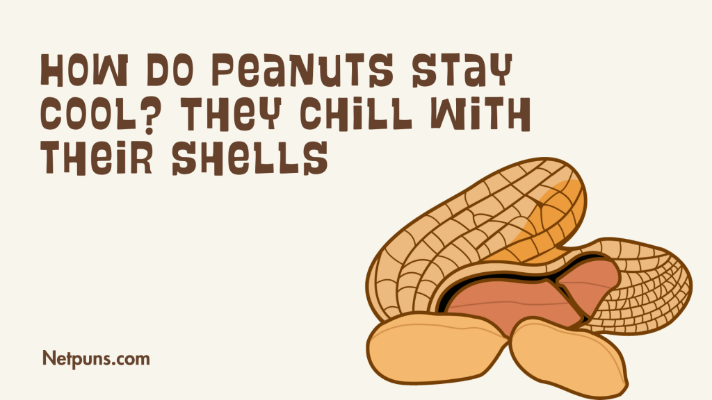 How do peanuts stay cool? They chill with their shells.