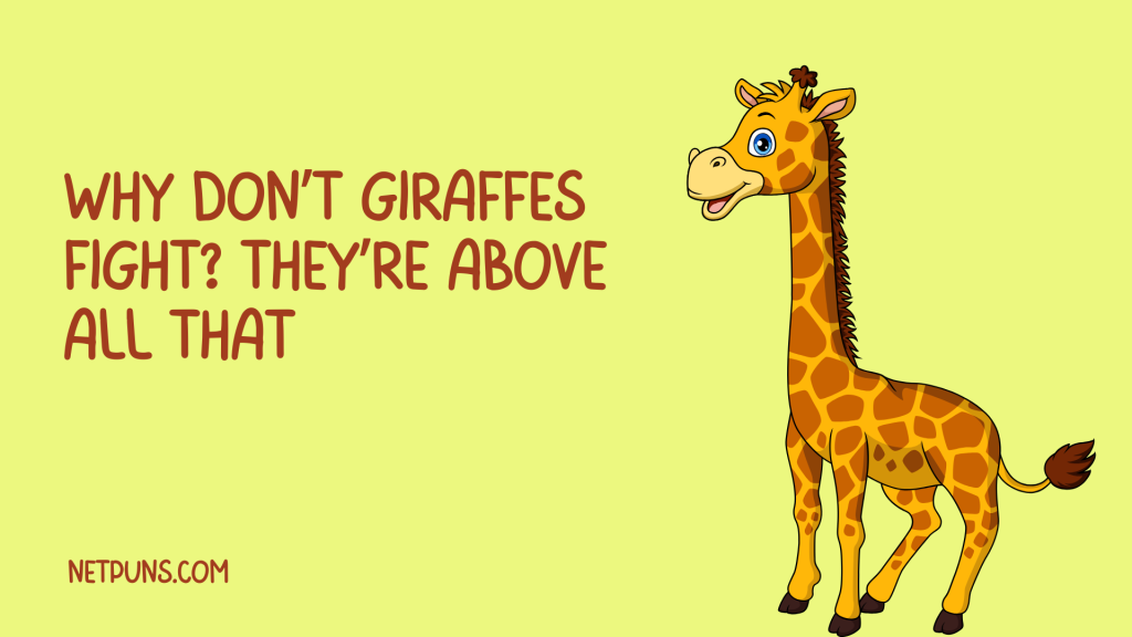 Why don’t giraffes fight? They’re above all that.