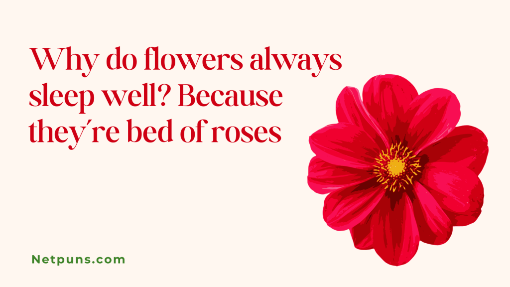 Why do flowers always sleep well? Because they’re bed of roses.
