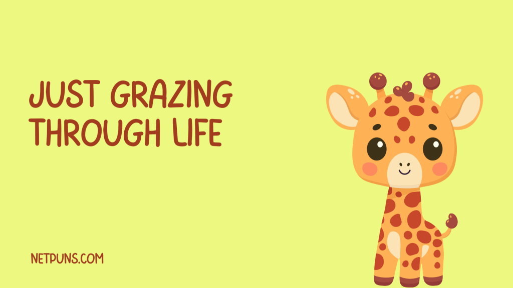 Just grazing through life.
