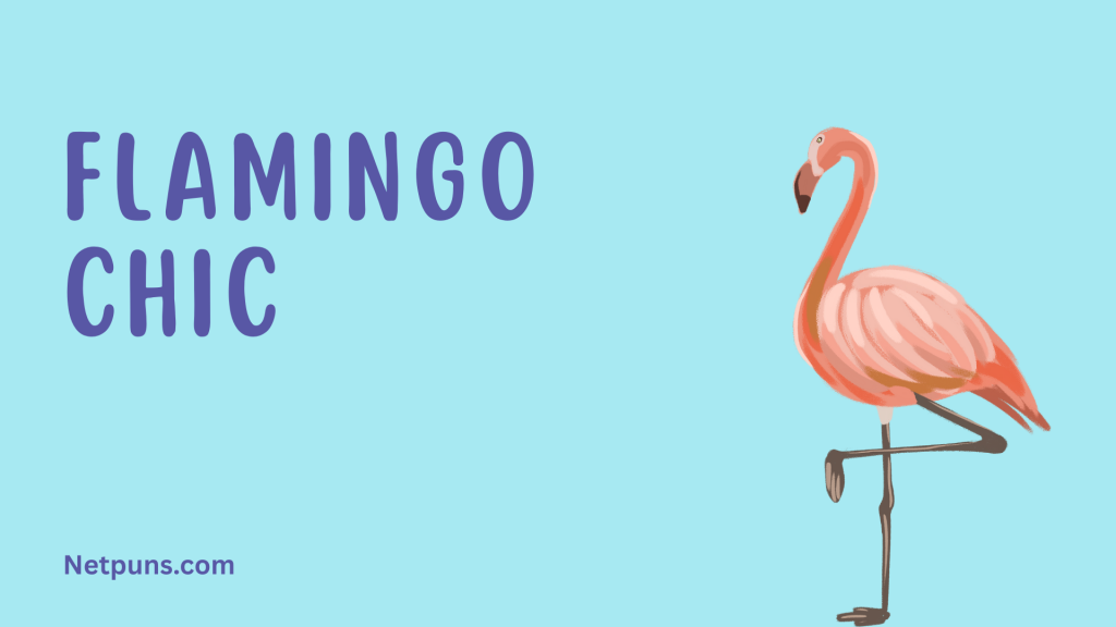 Flamingo chic.