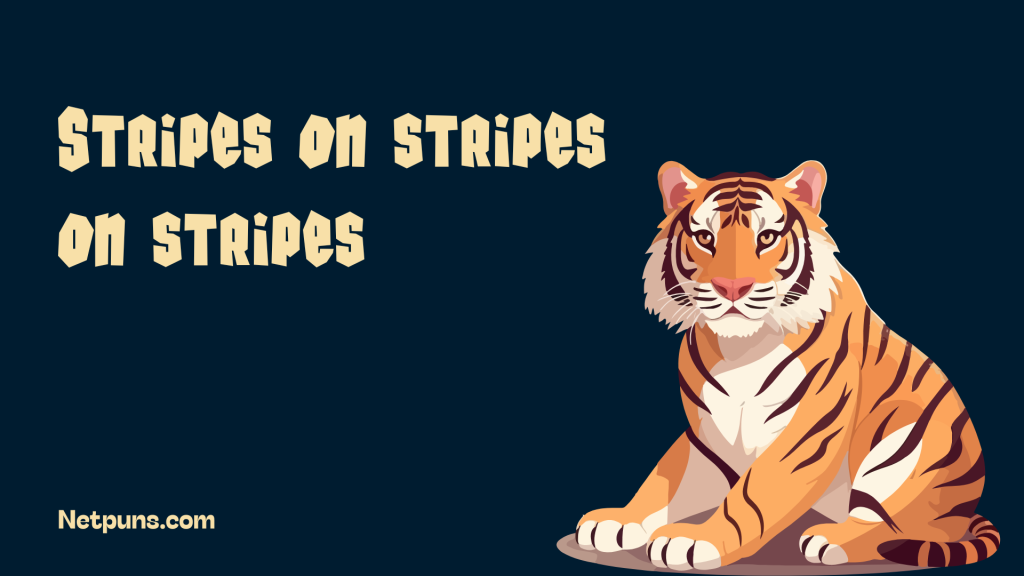 Stripes on stripes on stripes.