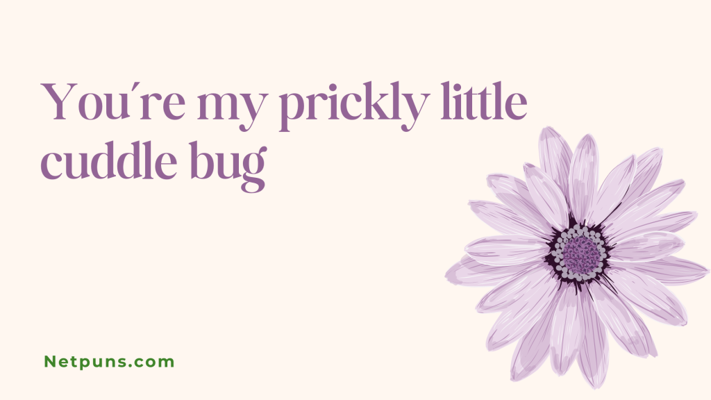 You’re my prickly little cuddle bug.