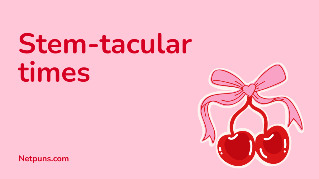 Stem-tacular times.