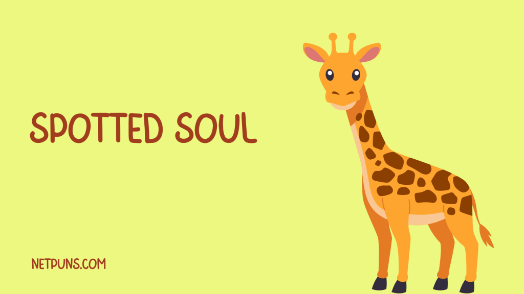 Spotted soul.
