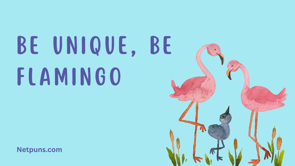Be unique, be flamingo.