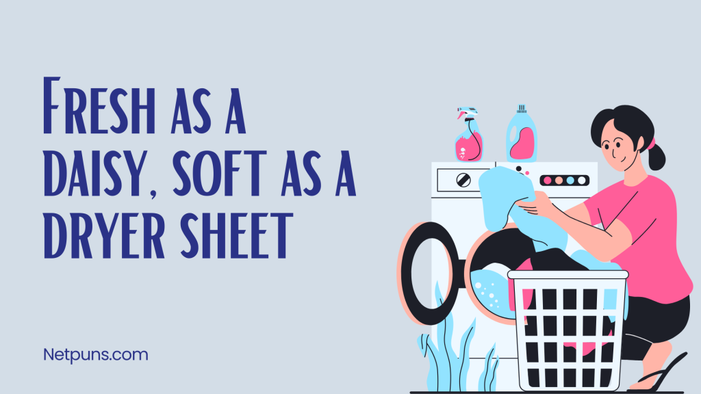 Fresh as a daisy, soft as a dryer sheet.