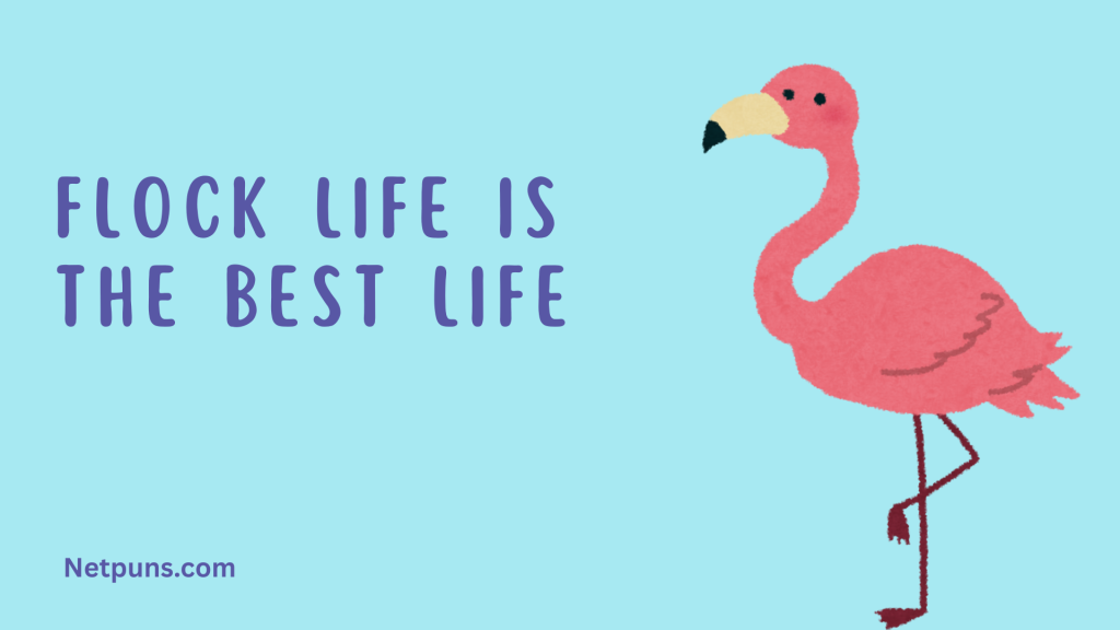 Flock life is the best life.