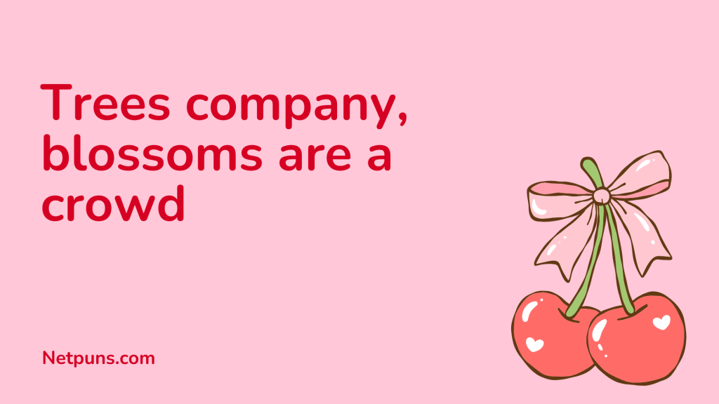 Trees company, blossoms are a crowd.