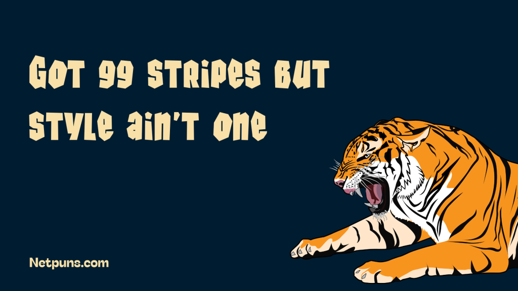 Got 99 stripes but style ain’t one.
