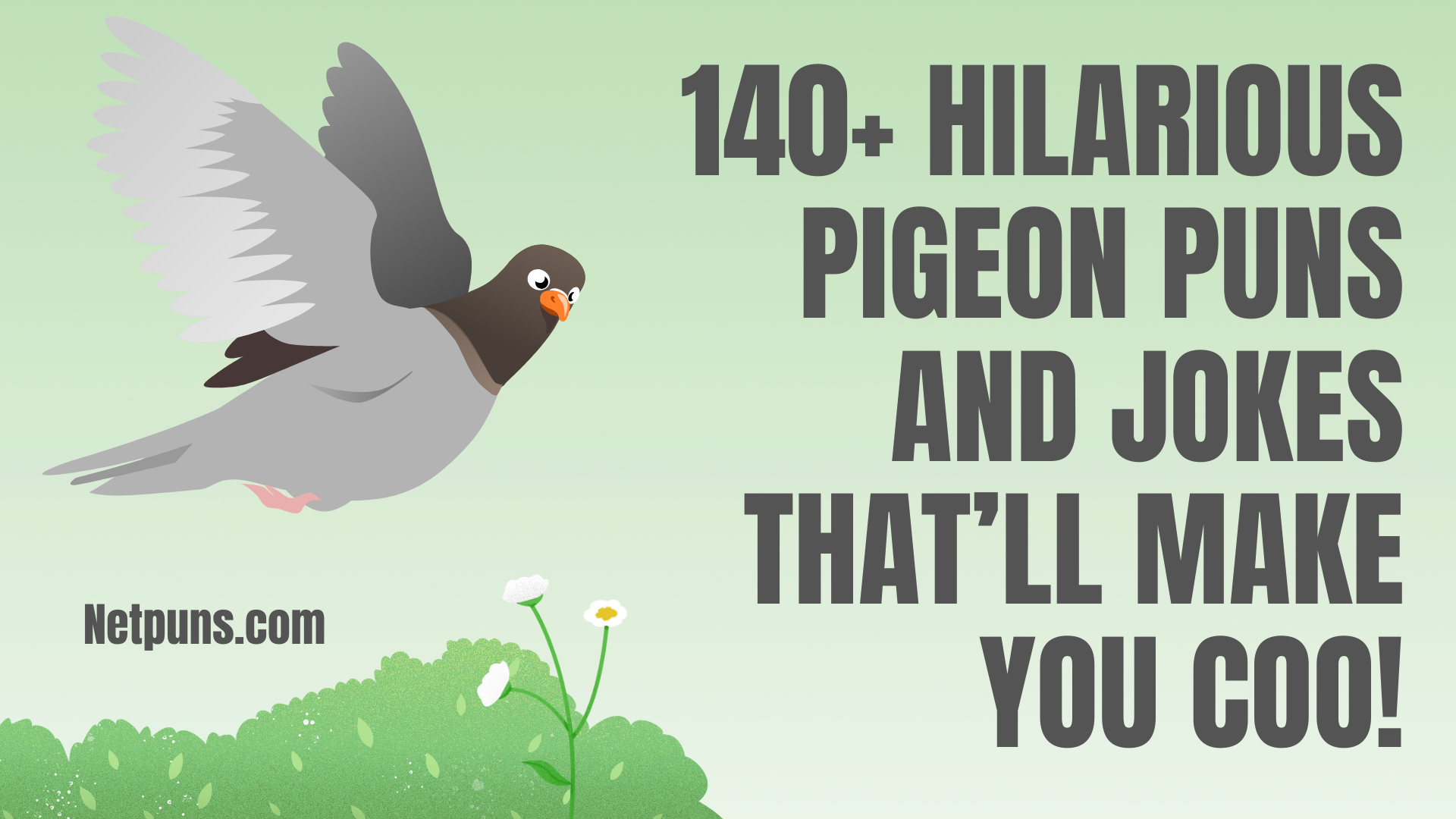 140+ Hilarious Pigeon Puns and Jokes That’ll Make You Coo!