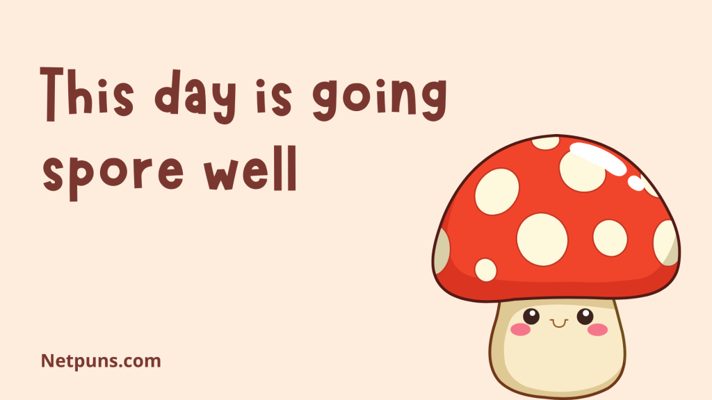 This day is going spore well.