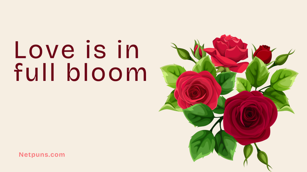Love is in full bloom.