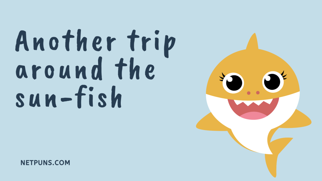 Another trip around the sun-fish.