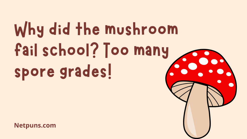 Why did the mushroom fail school? Too many spore grades!