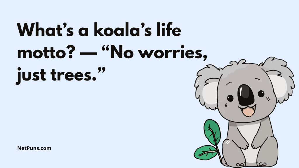 What’s a koala’s life motto? — “No worries, just trees.”