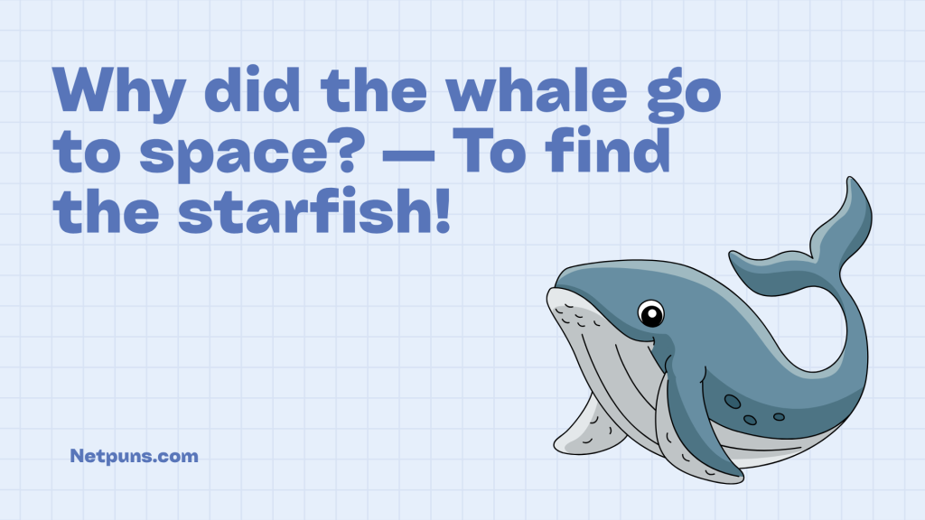 Why did the whale go to space? — To find the starfish!