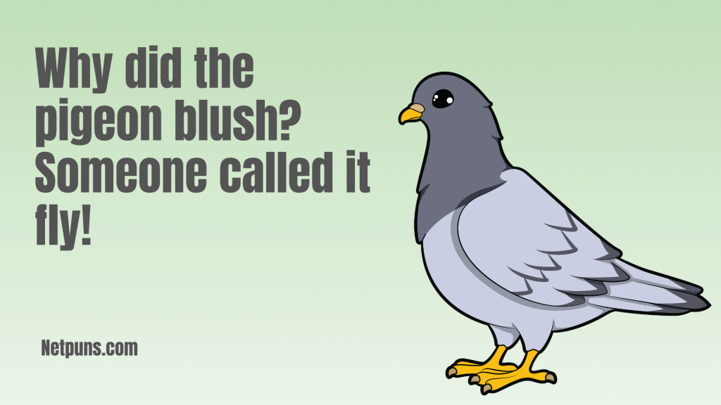 Why did the pigeon blush?
Someone called it fly!