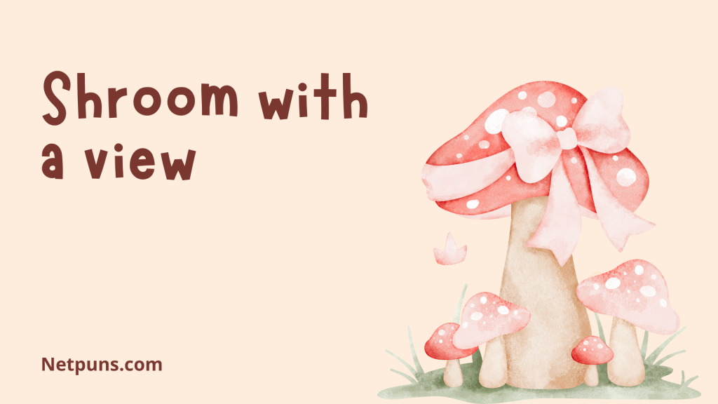 Shroom with a view.