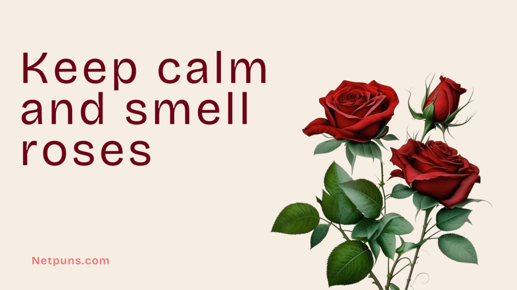 Keep calm and smell roses.