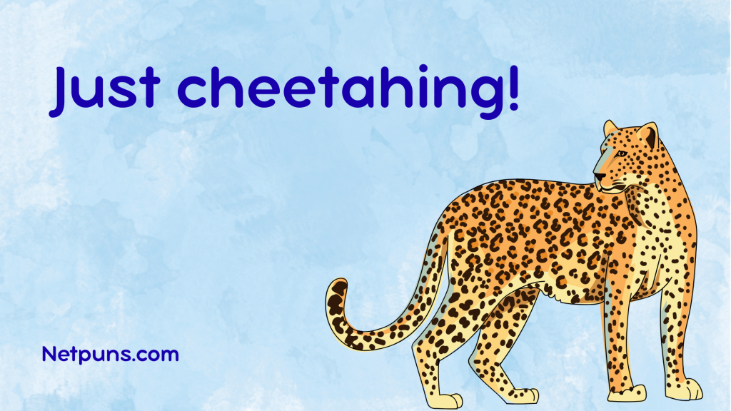 Just cheetahing!