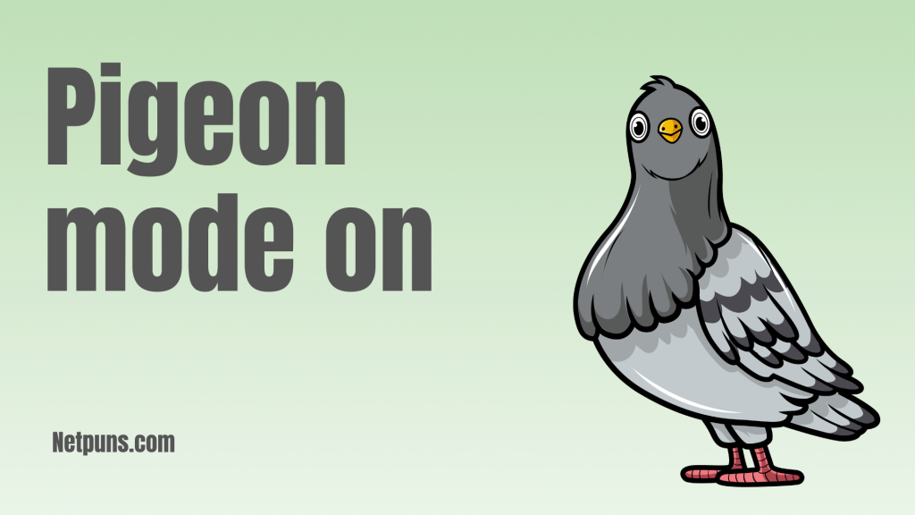 Pigeon mode on.