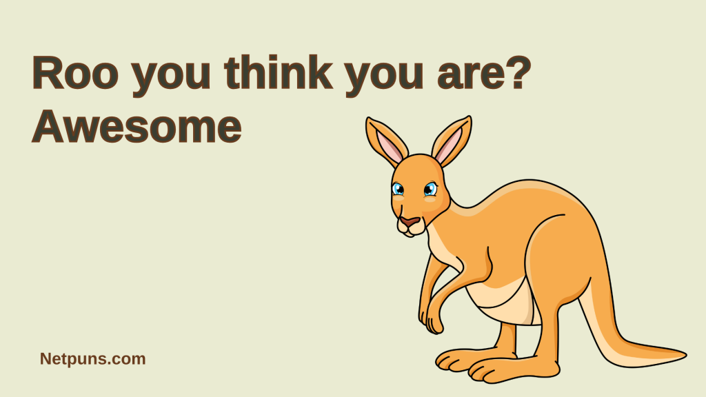 Roo you think you are? Awesome.